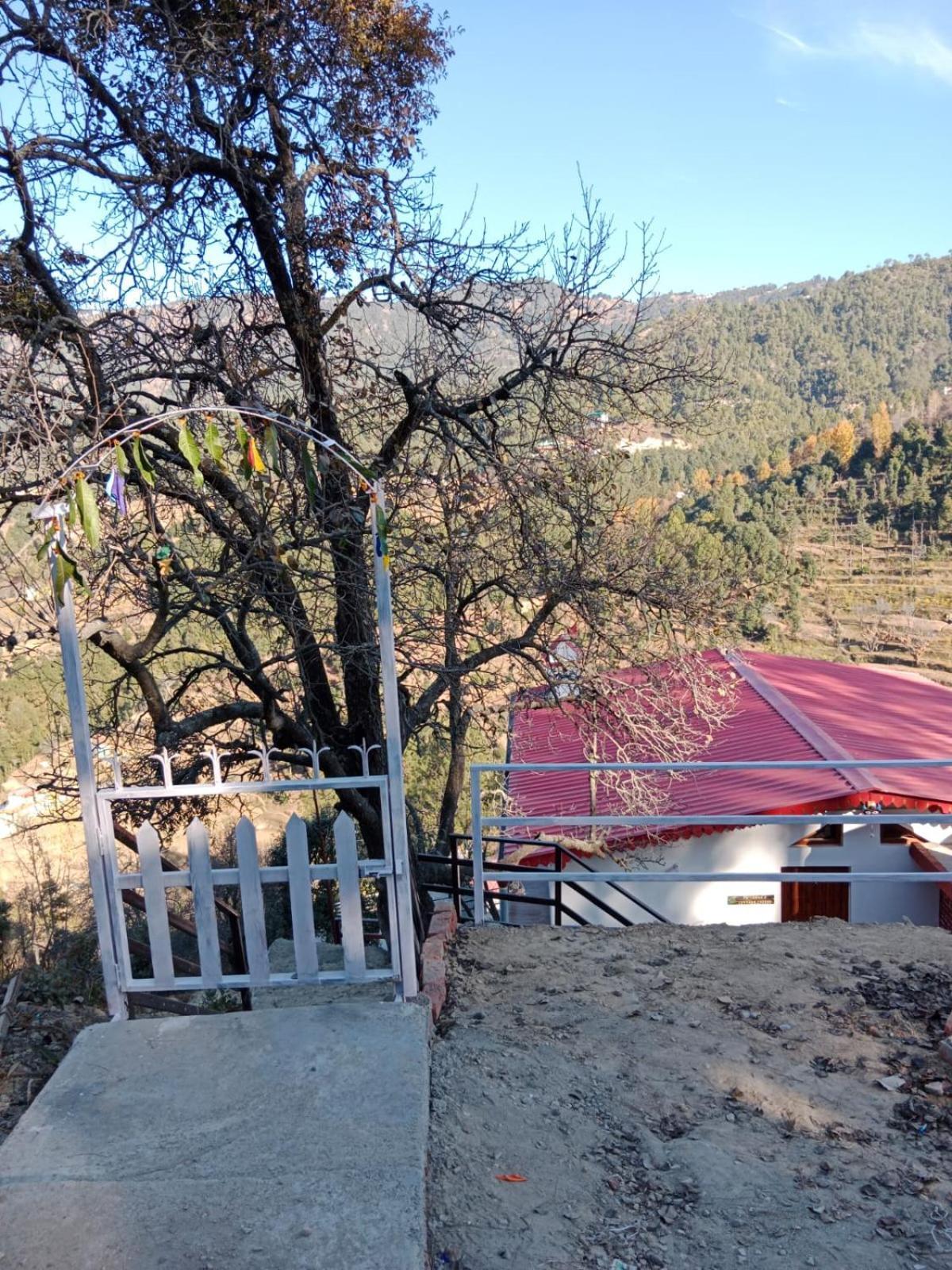 Cottage Cheese Nainital Luaran gambar